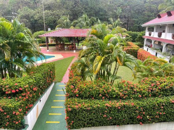 Samara Beach Las Palmeras Condo with Ocean view - B&B