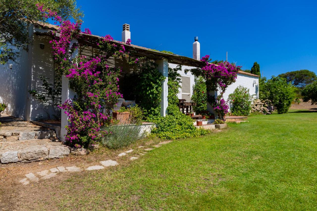 Villa con 1 Camera da Letto
