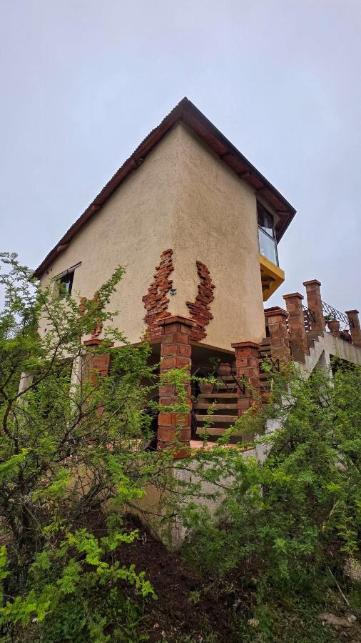 Terrazas de Mallin - B&B
