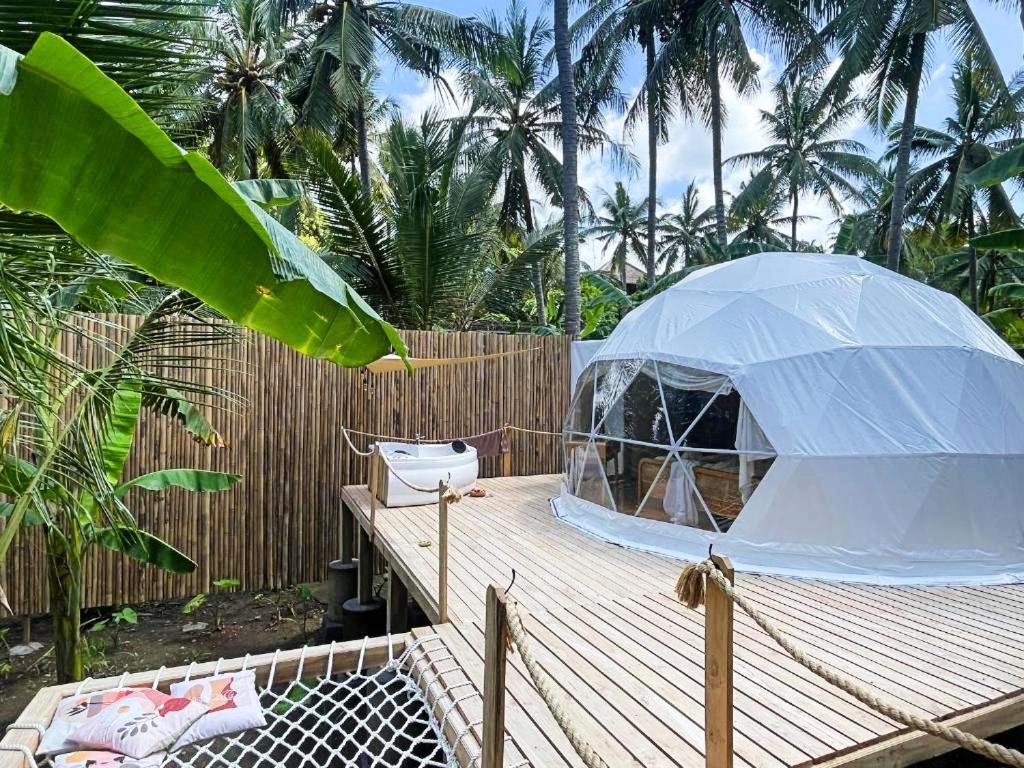 Tent