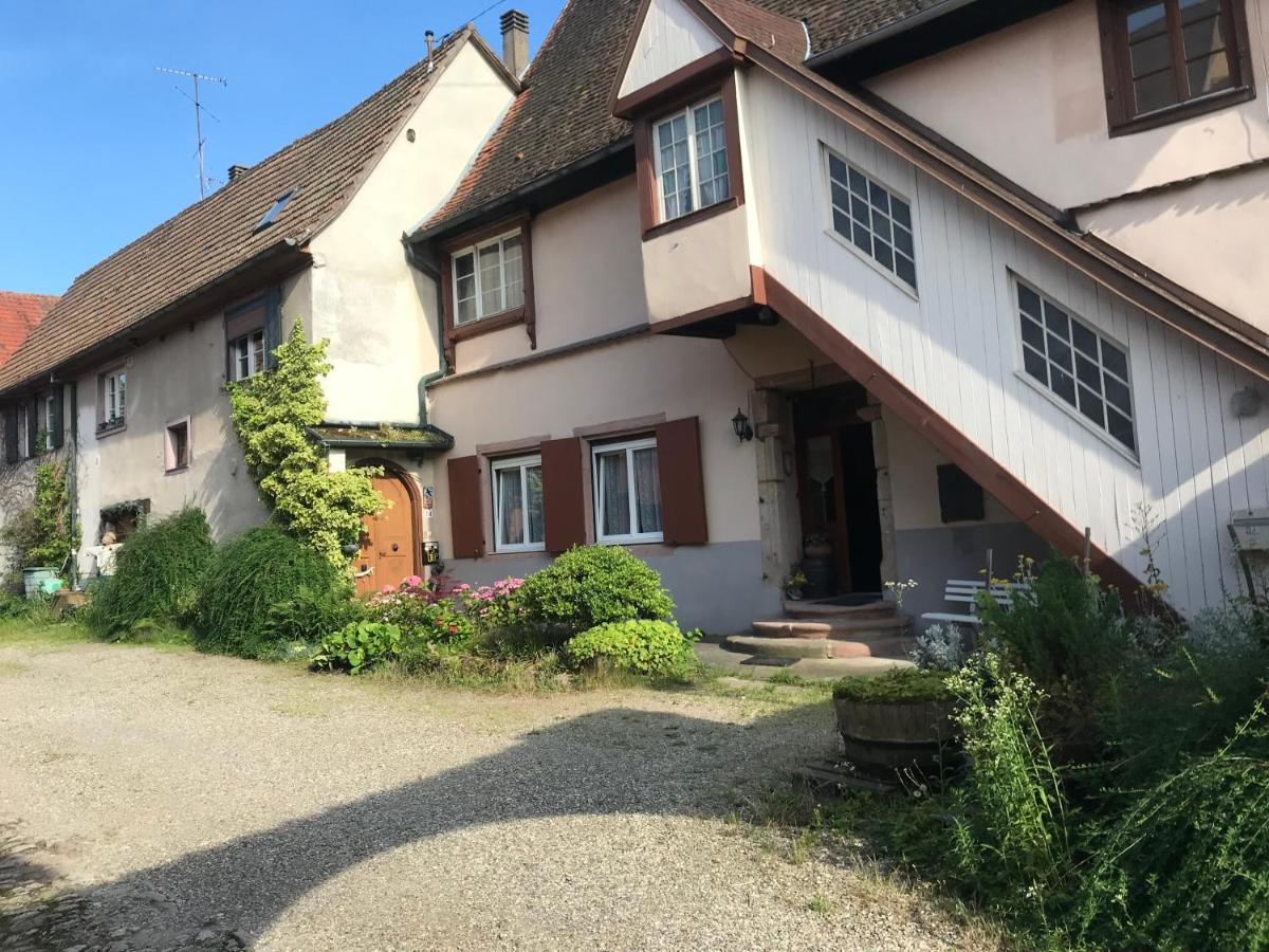 Le Grand Cru de Sophie - Chambres d’hôtes Dambach-la-Ville