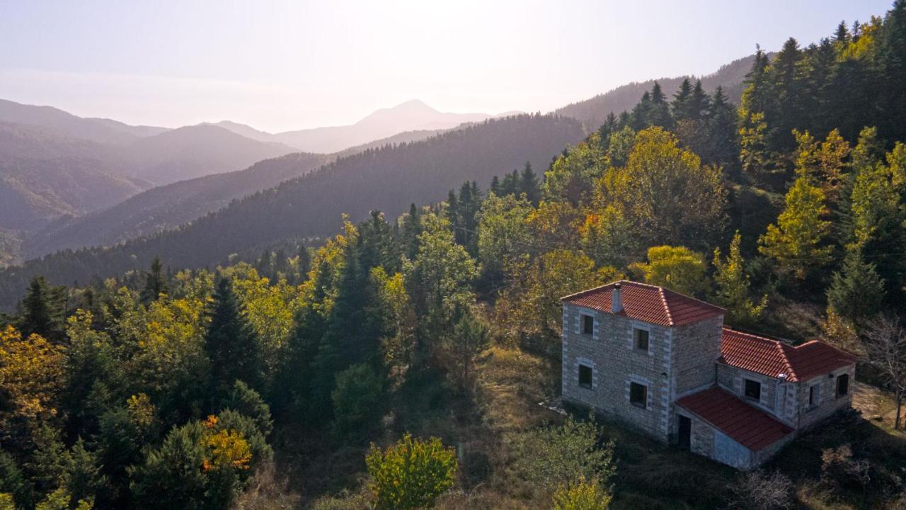 Secret Mountain Cabin "Θεοδόξαρο" - Chambres d’hôtes