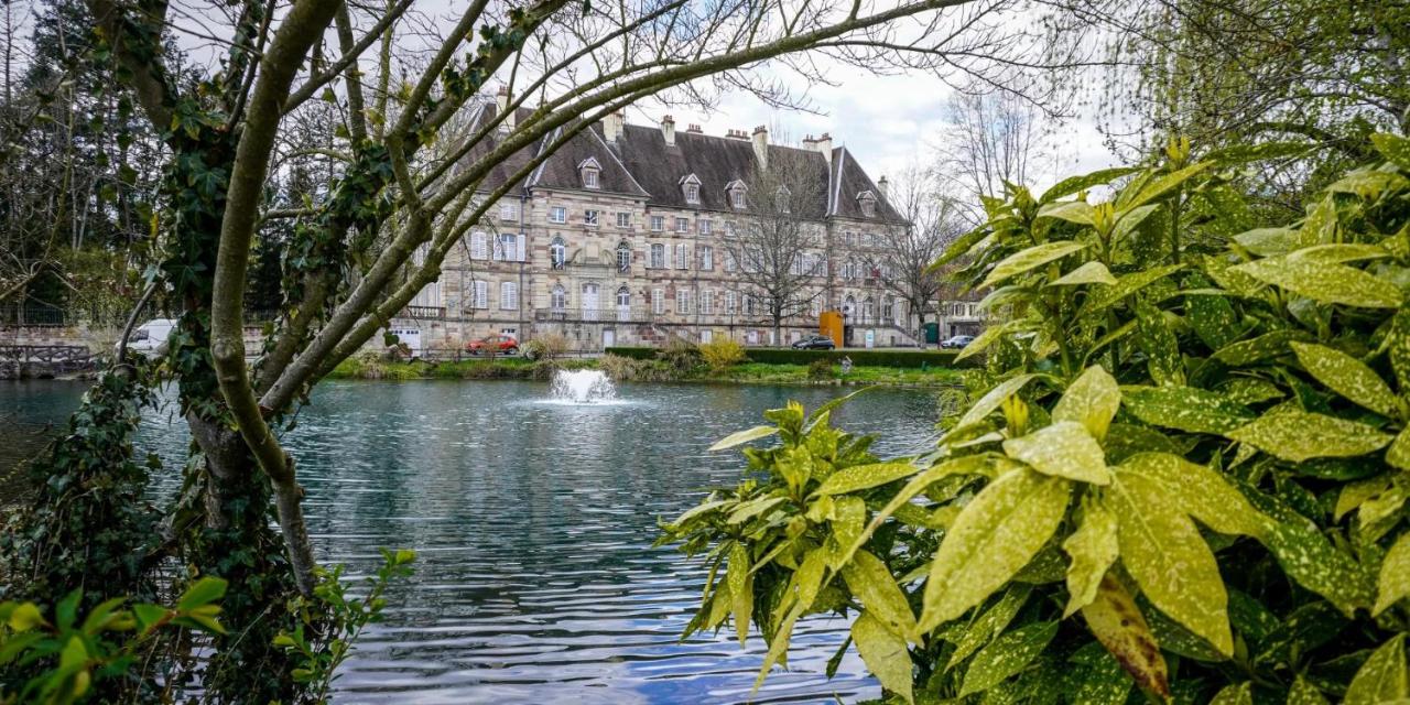 Appartement centre ville - Bed and Breakfast
