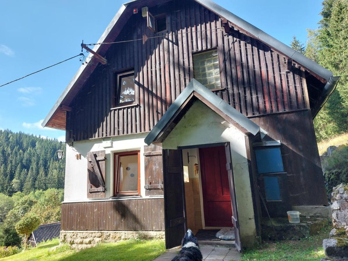 The House Next to the Forest - LAKMAT - B&B