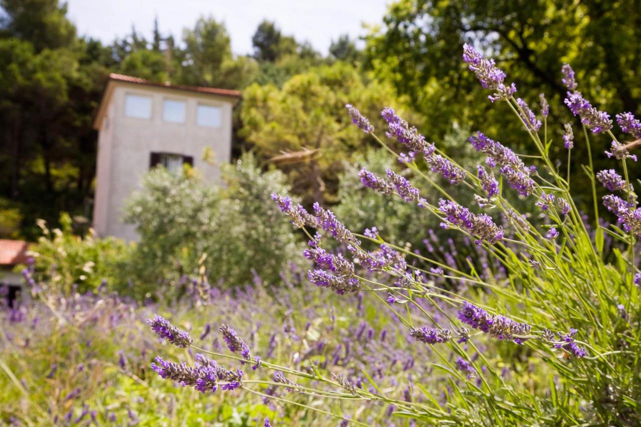 B&B La Torre del Poggio - B&B Poggio