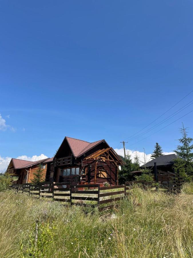 Casa Brindusa - B&B