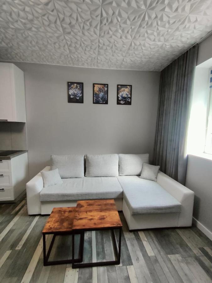 721 Slate Apartament Jedlina-Zdrój - Ferienwohnung Bad Charlottenbrunn