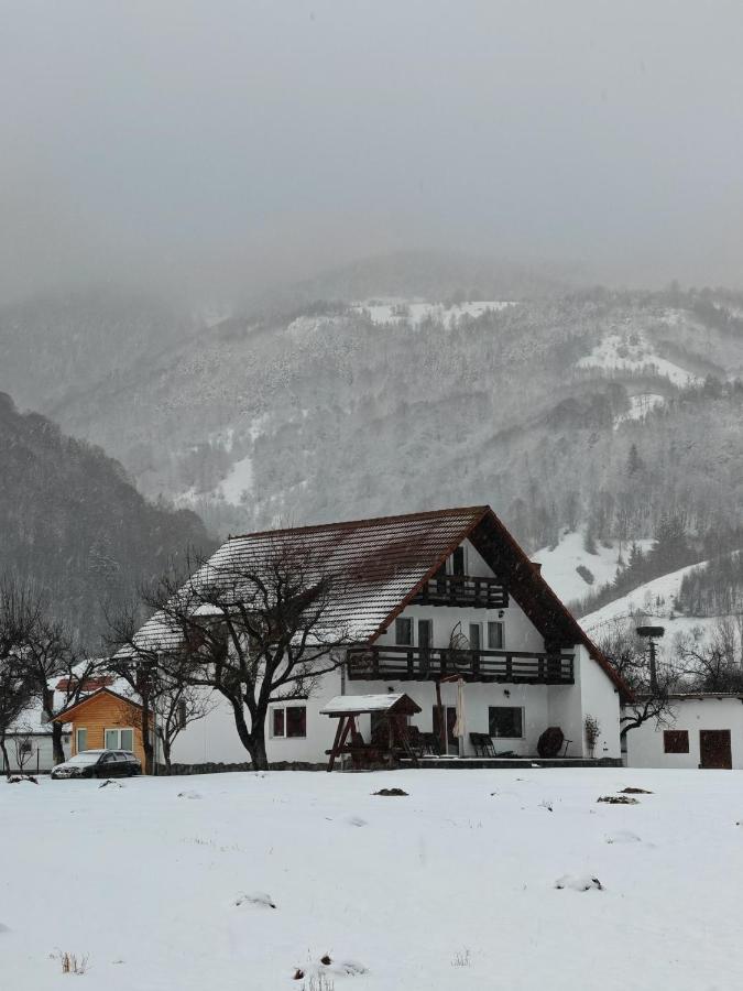 Căsuța dintre Meri - B&B Moieciu de Jos