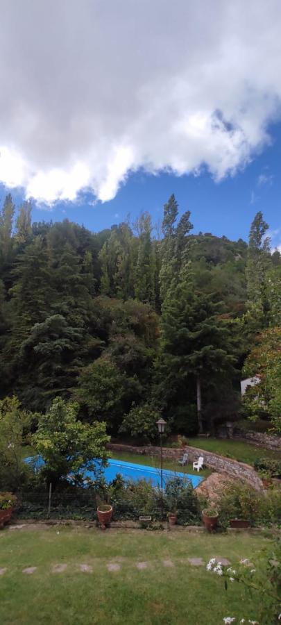 disfruta depto rodeado de montaña y naturaleza - B&B