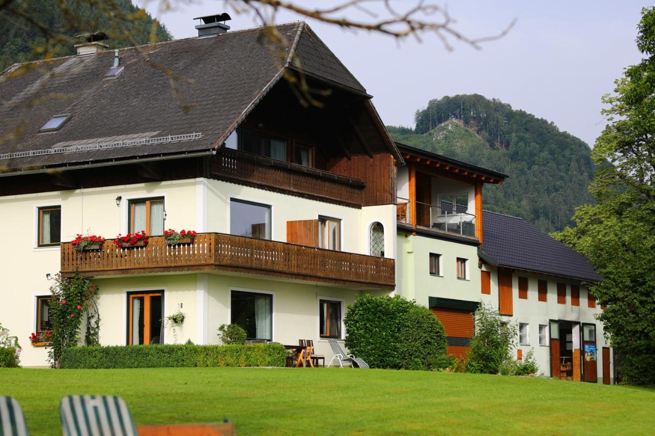 Suite am Attwengerhof - Ferienwohnung