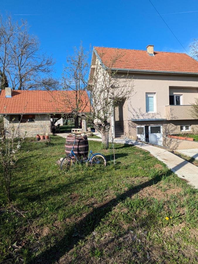 Vila Restart Čortanovci - B&B Čortanovci
