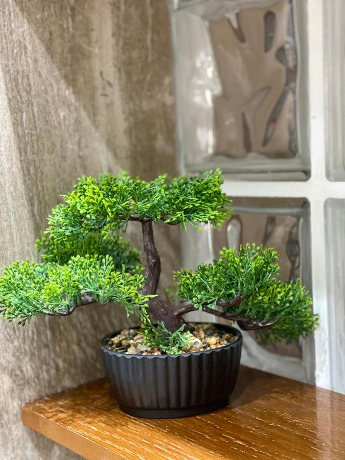 Apartment Lake Tirana - B&B Tirana