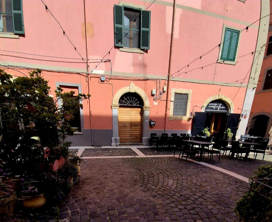 Dream Apartments alloggio turistico - B&B Civitavecchia