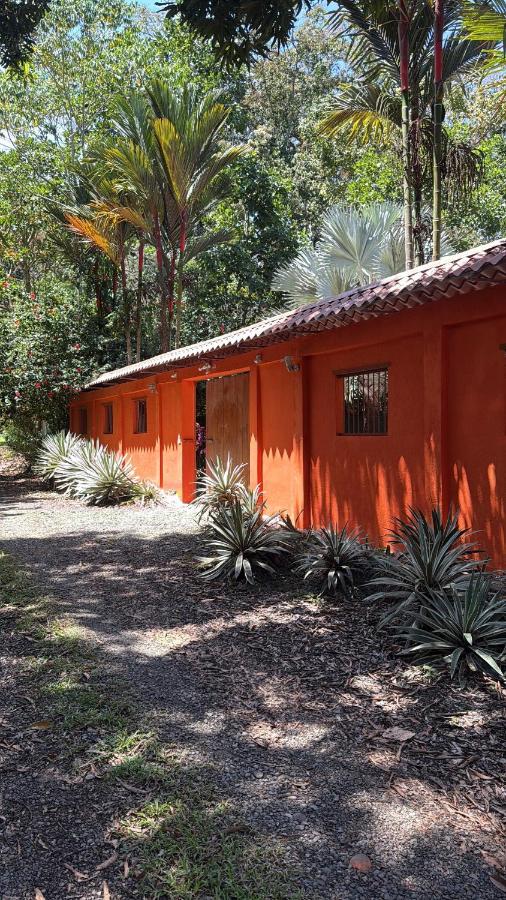MamaPapa - Bed and Breakfast