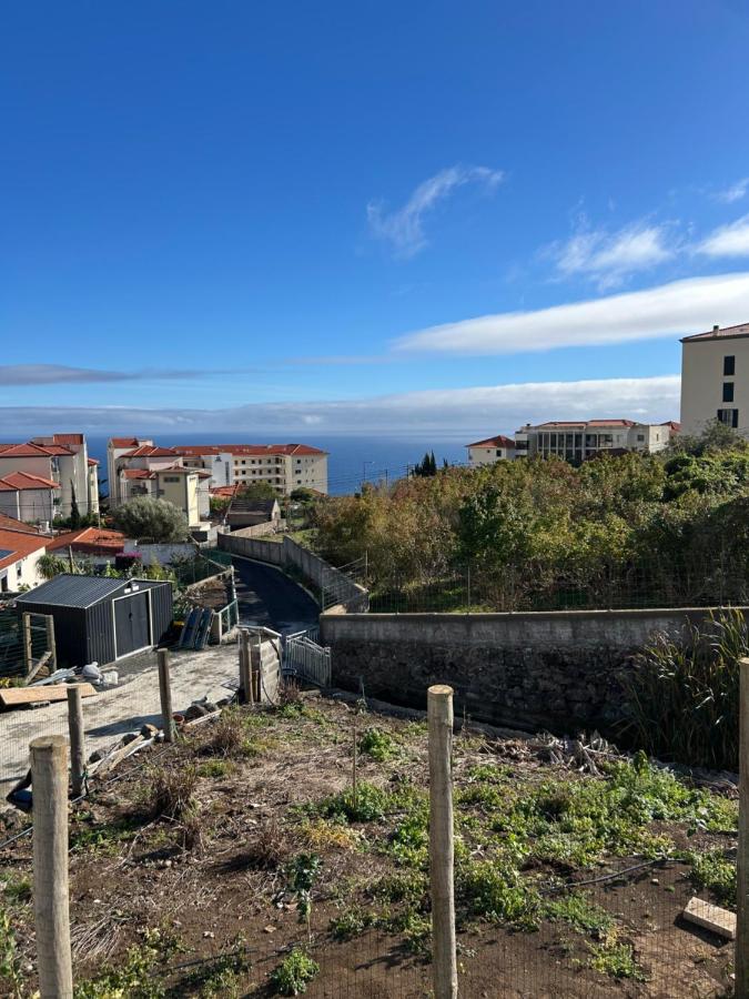 Paraiso Madeira Studios - B&B