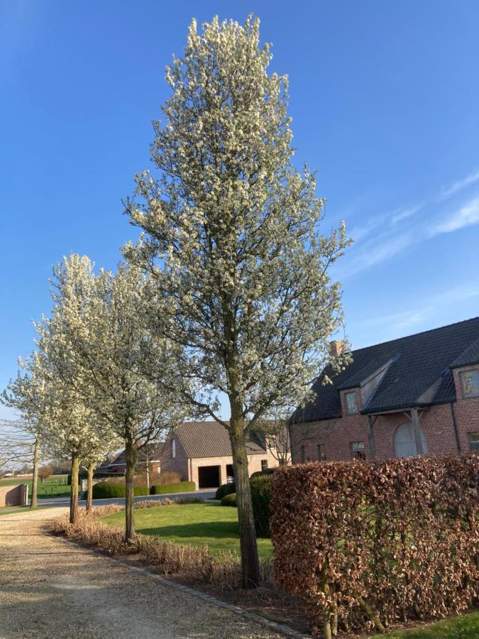 Hoeve Sterrewijk - B&B Aalter