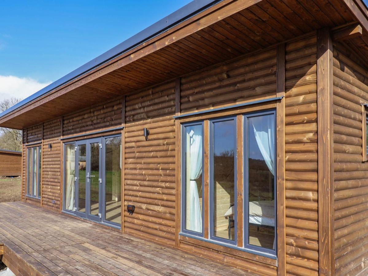 Foxglove - B&B Chard