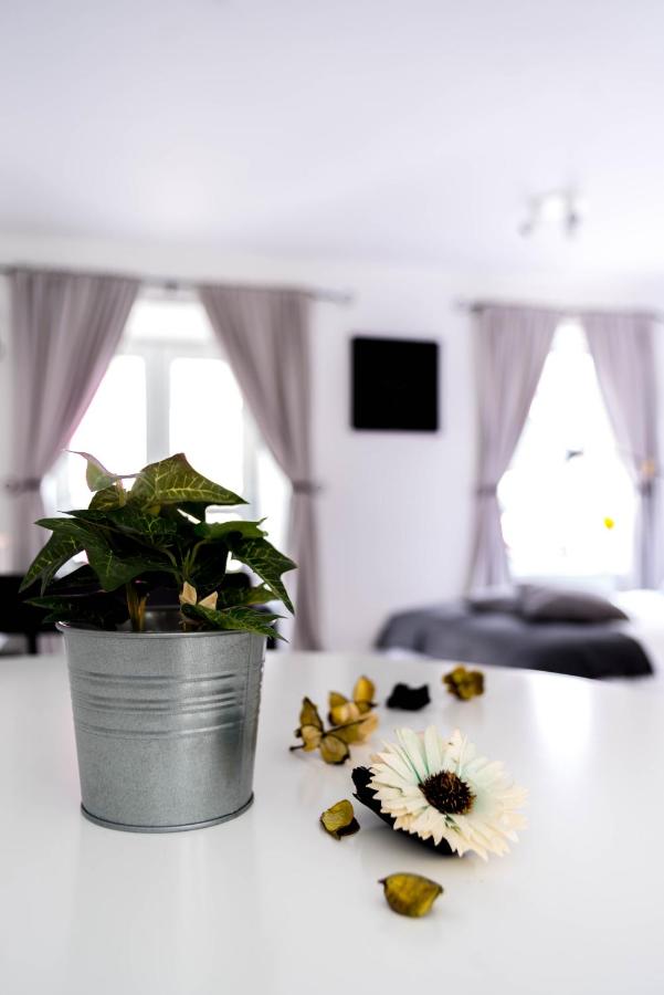 Suite con 1 Camera da Letto