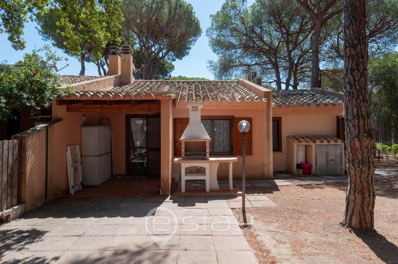Garden Pine House - Chambres d’hôtes
