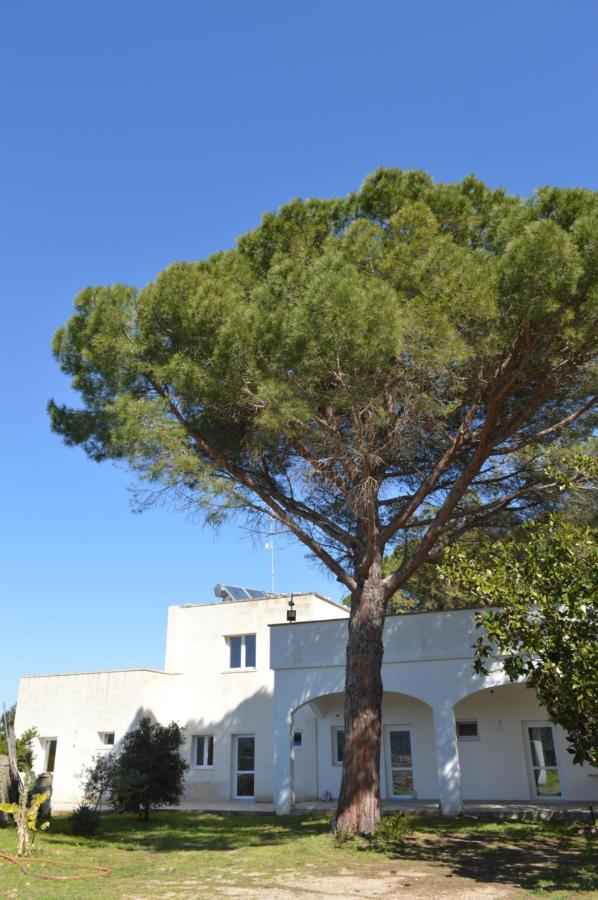 Agriturismo TENUTE MASSERIA NOTARI - B&B