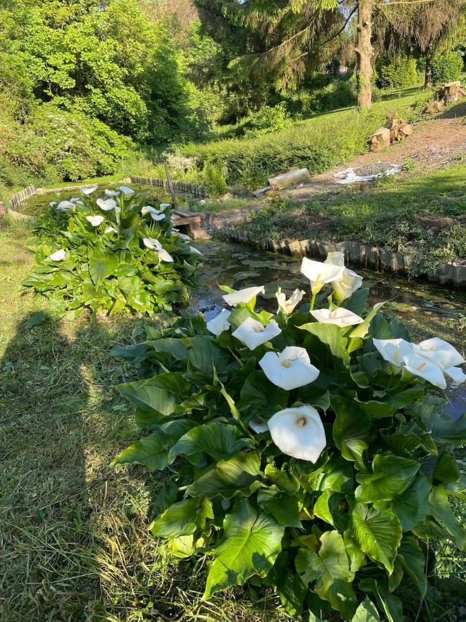 Havre de Paix - Bed and Breakfast Hermelinghen