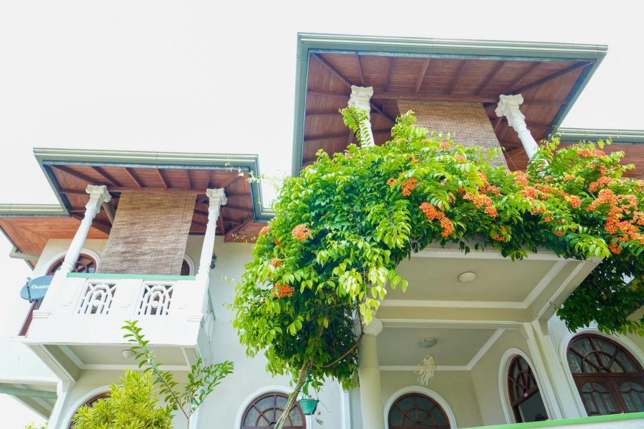 The Mist Residence - B&B Mapanawatura
