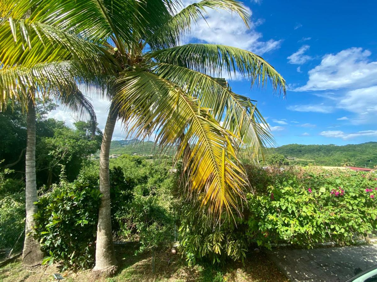 Villa la Flamboyante 4 étoiles, 4 Clévacances - Ferienwohnung Sainte-Anne
