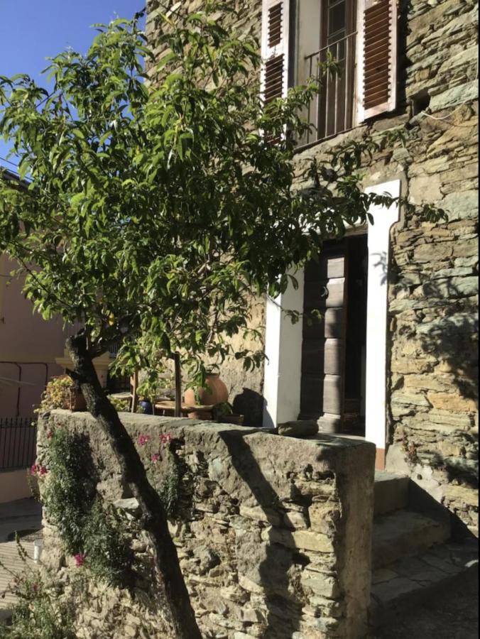 Maison de village 3 chambres 2 SDB avec terrasse & jardin - Proche St Florent - B&B