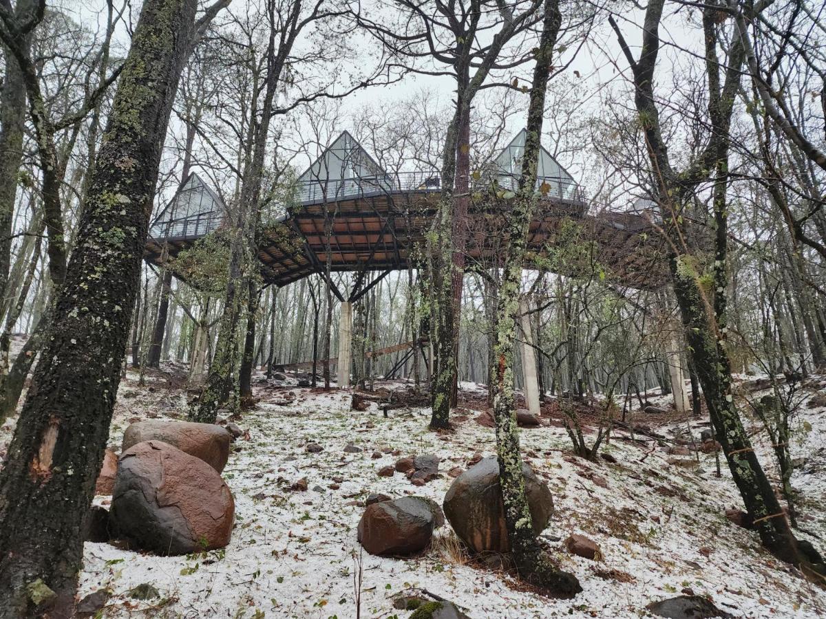 Cabaña Boreal, Punta del Bosque - Chambres d’hôtes Huasca de Ocampo