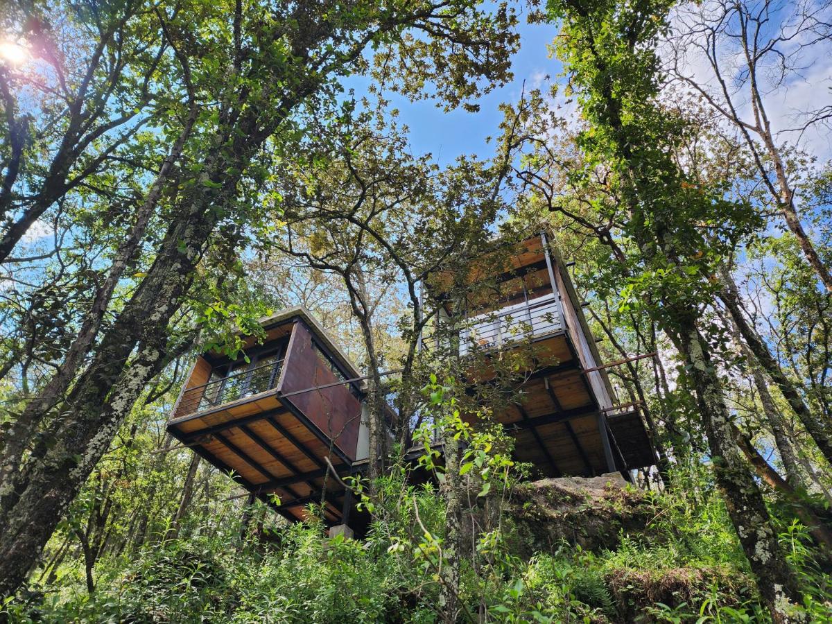 Casa Estudio UMMA, Punta del Bosque - Ferienwohnung Huasca de Ocampo