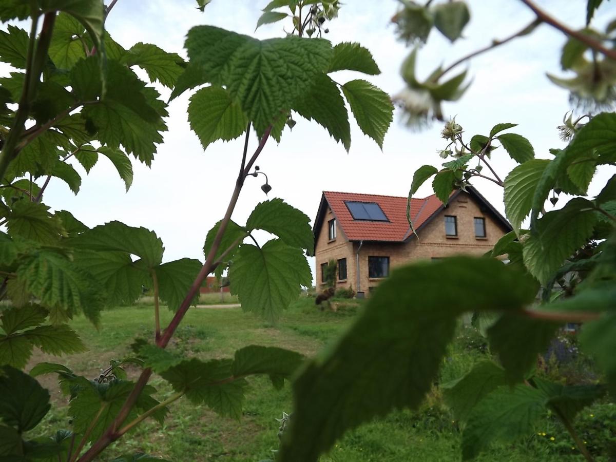 Naturhof-Goldbeck - B&B