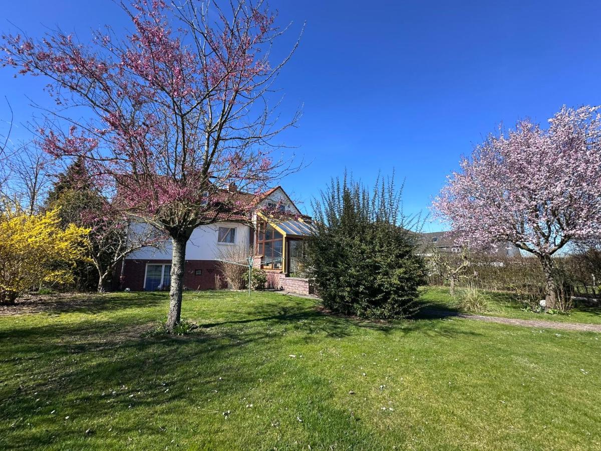 Haus Ostseesprung - Fewo Valentina im Souterrain mit Terrasse und gem Garten - Chambres d’hôtes Bad Doberan