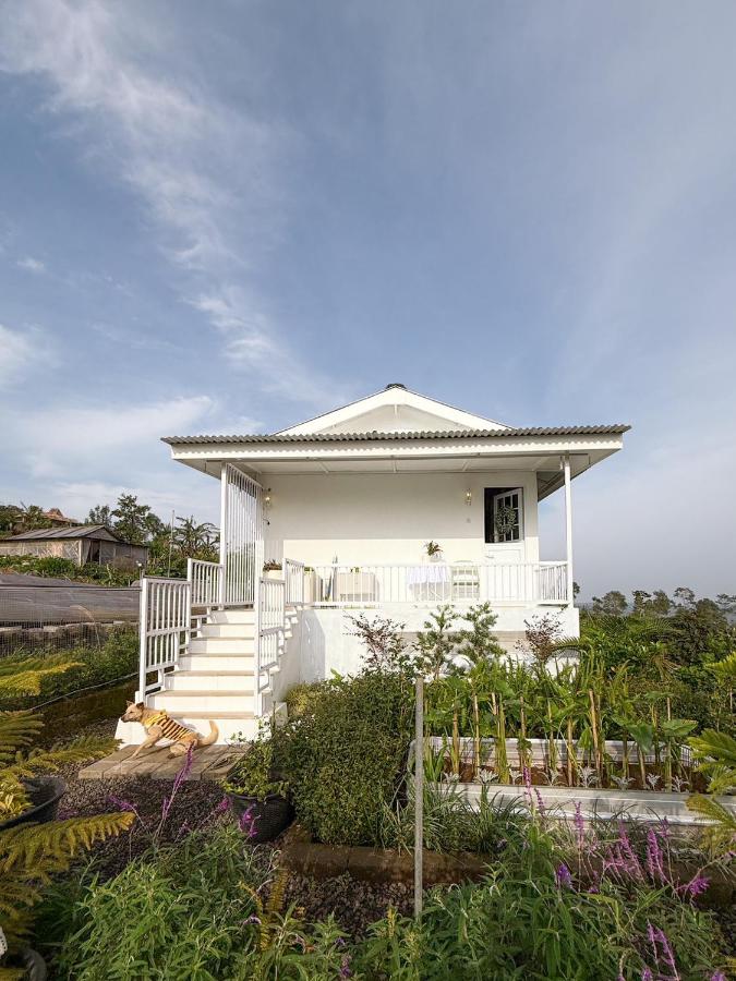Querencia Cabin - B&B