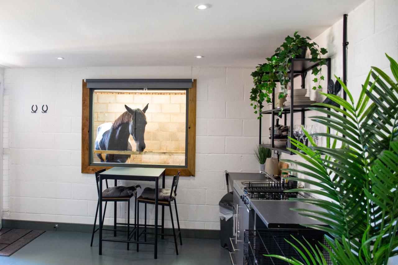 Sleep next to a Horse in a stable by the city ! - B&B
