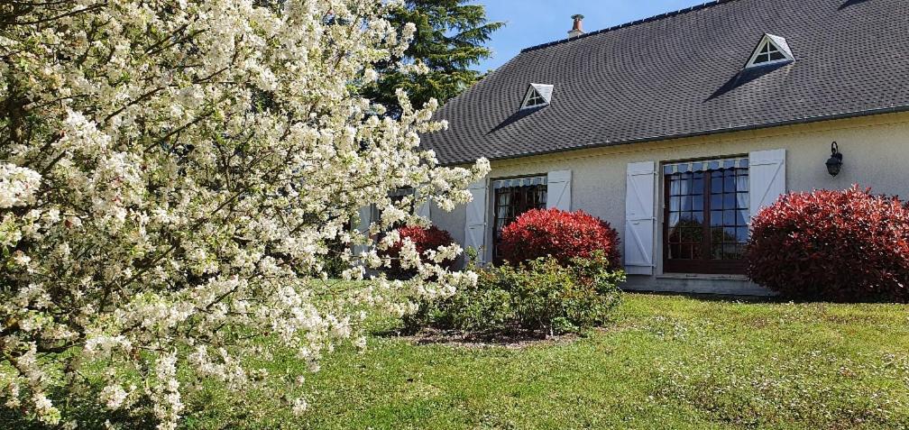 La belle échappée - B&B Saint-Clément-des-Levées