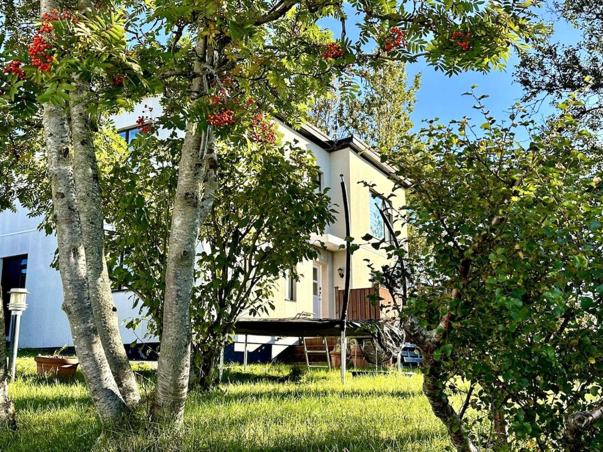 Nordic Green Haven - B&B Reykjavik
