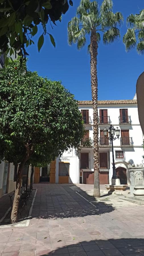 Apartamento Centro Rincón de San Miguel - B&B Córdoba