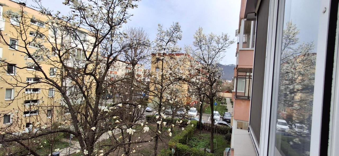 Gabi's Appartment - Ferienwohnung