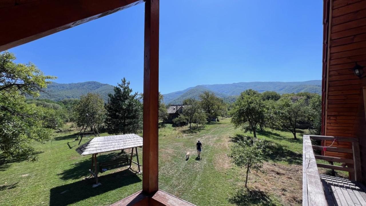 Casa cu Stuf - Căsuță de Poveste cu Acoperiș de Stuf Refugiu Rustic și Modern în Natură lângă pârâu Loc de joaca pentru Copii Parcare Foișor - Chambres d'hôtes Marga