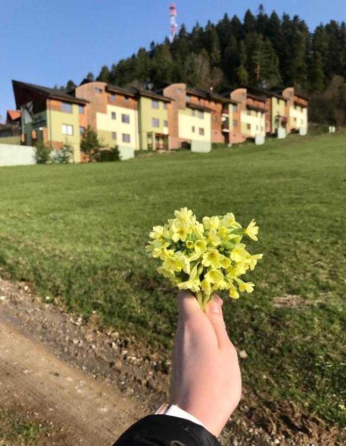 Apartmán Tymián - Ferienwohnung Vyšné Ružbachy