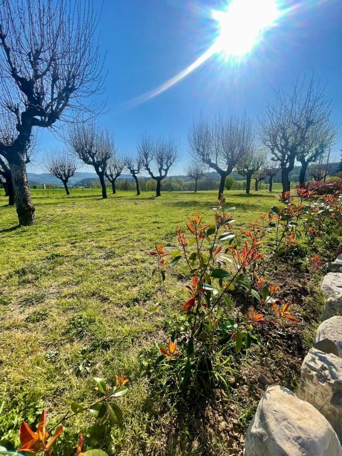 Castrum Gallani - B&B