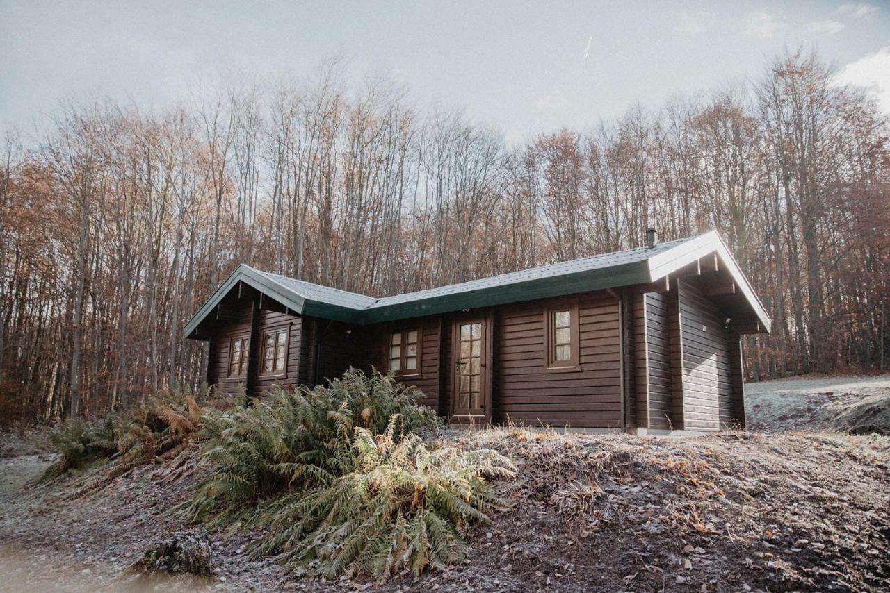 Familienurlaub im Wald am Twistesee Ferienhaus 20 nur 300 m zum See - Grill & Terasse & hundefreundlich - Twistesee-Ferien - Ferienwohnung Bad Arolsen