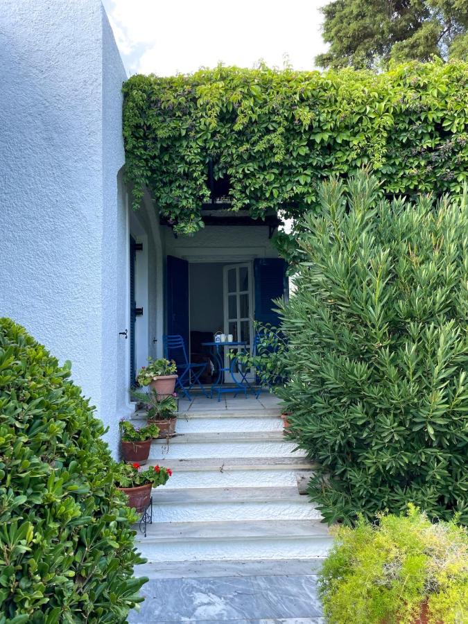 Beachfront Family Villa - Bed and Breakfast Eretria
