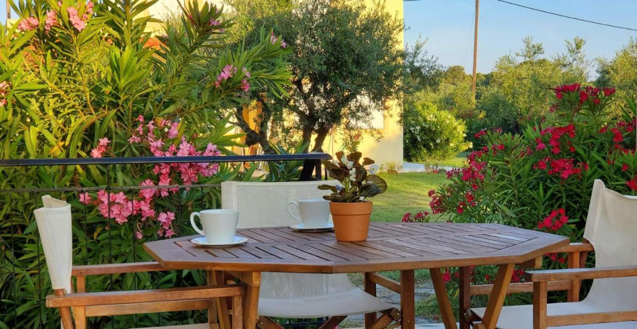 Phyllida Guest House - M3 - Ferienwohnung Zacháro