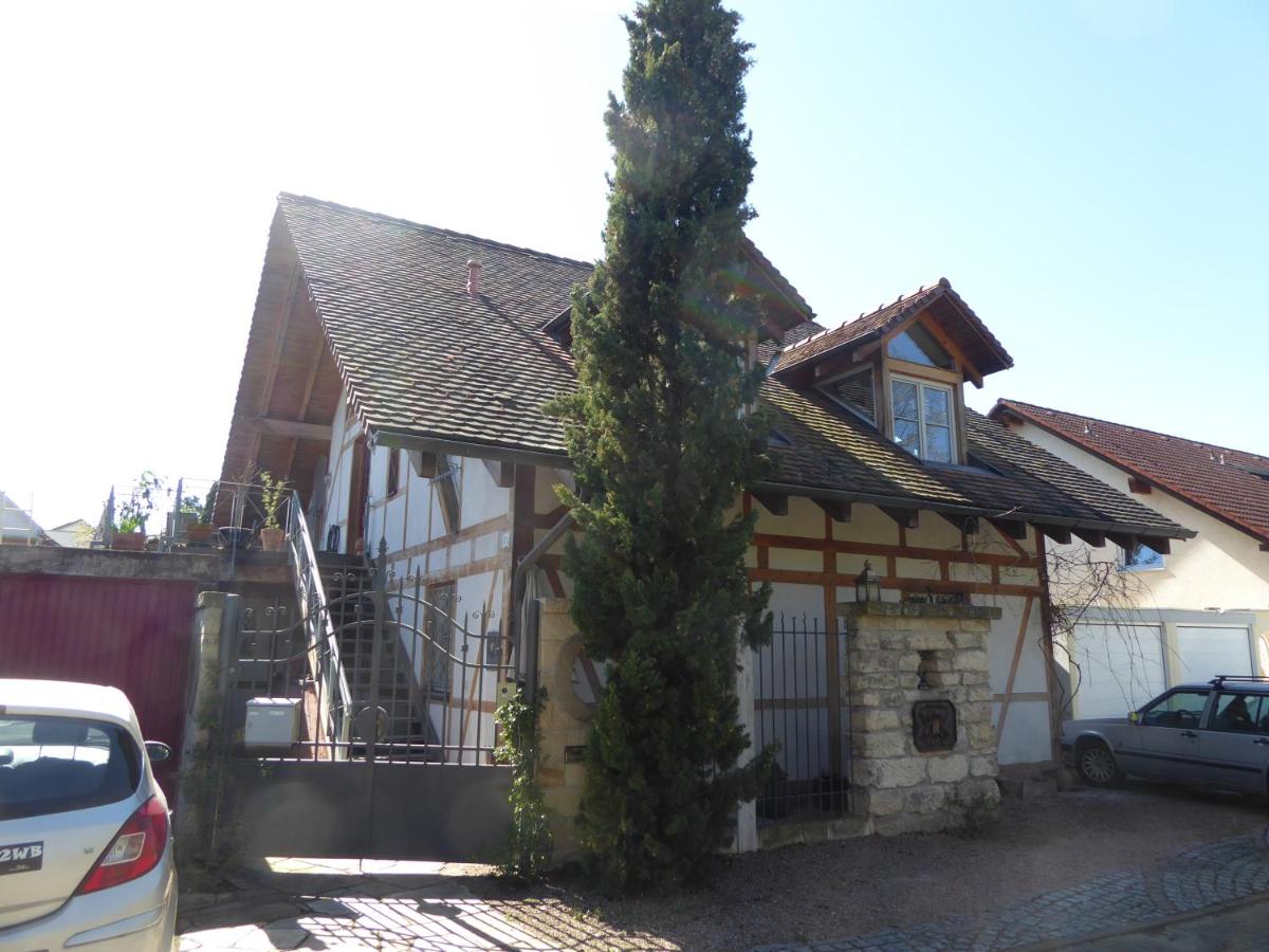 Ferienwohnung Weiße Rose - B&B