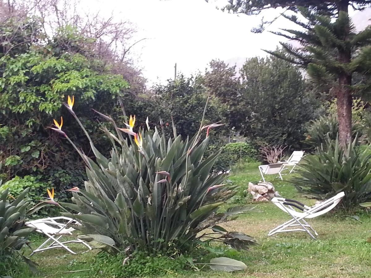 Casa Conigli con piscina condivisa - B&B Terrasini