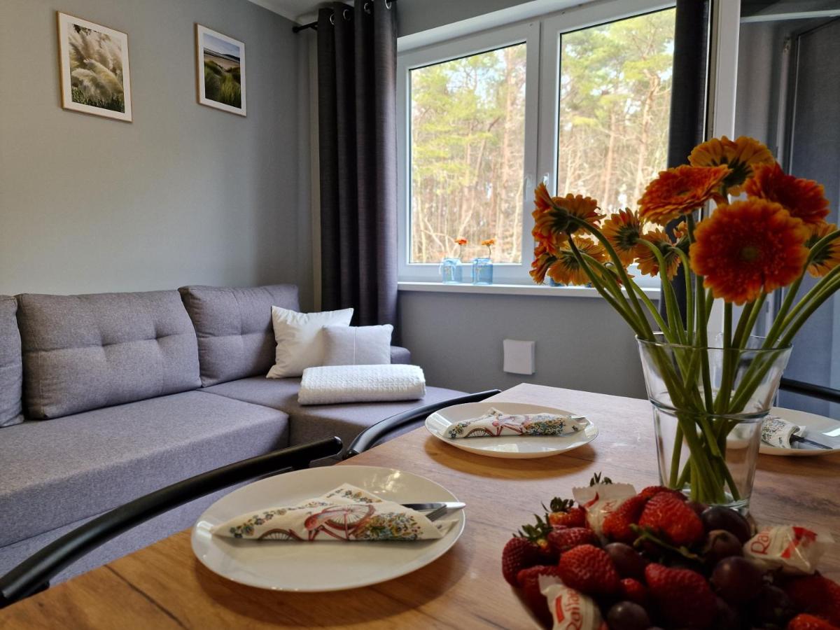 Mario Leśny Klif 2 - Ferienwohnung Debina