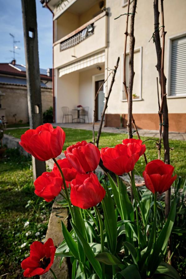 La Casa dei Nonni - B&B