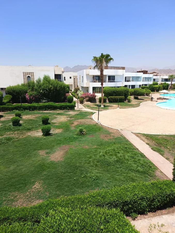 الدوليه للتسويق العقارى - Bed and Breakfast Sharm el-Sheikh