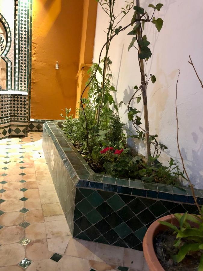 APT traditionnel et très bien situé - WIFI & PARKING - B&B